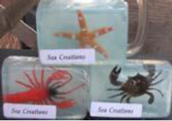 Sea Creations Soap