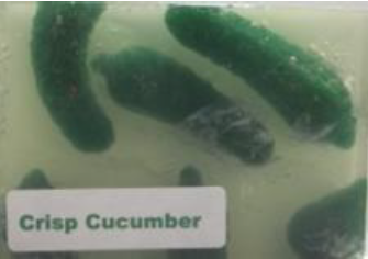 Crisp Cucumber Soap