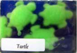 Turtle Soap