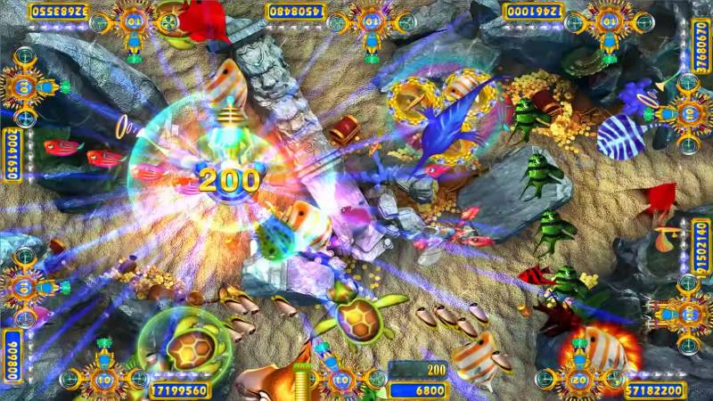 Tập trung vào đàn cá thay vì đơn mục tiêu